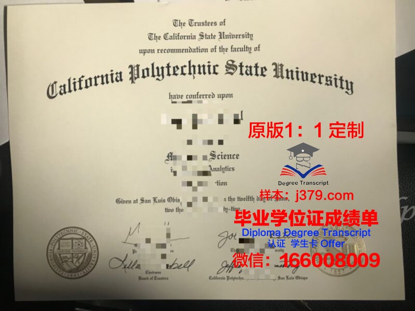 奥尔良大学综合理工学院学历证书(奥尔良综合理工大学怎么样)