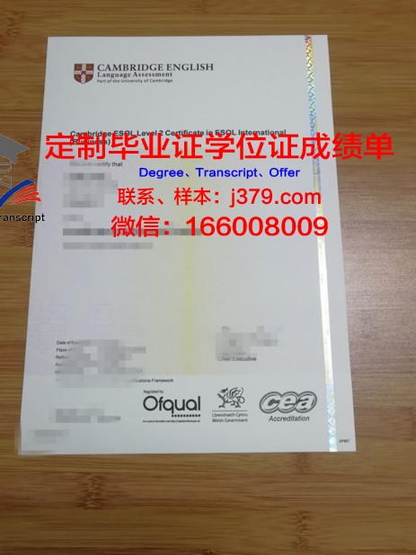 奥芬巴赫设计学院毕业证书图片(奥芬巴赫介绍)