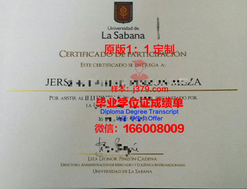 瓦纳大博士毕业证：一张纸的重量与价值