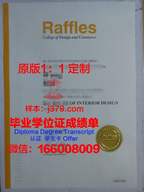 奥芬巴赫设计学院硕士毕业证书：开启国际设计之门的钥匙