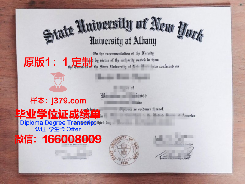 奥尔巴尼法学院硕士毕业证(奥尔巴尼大学排名)
