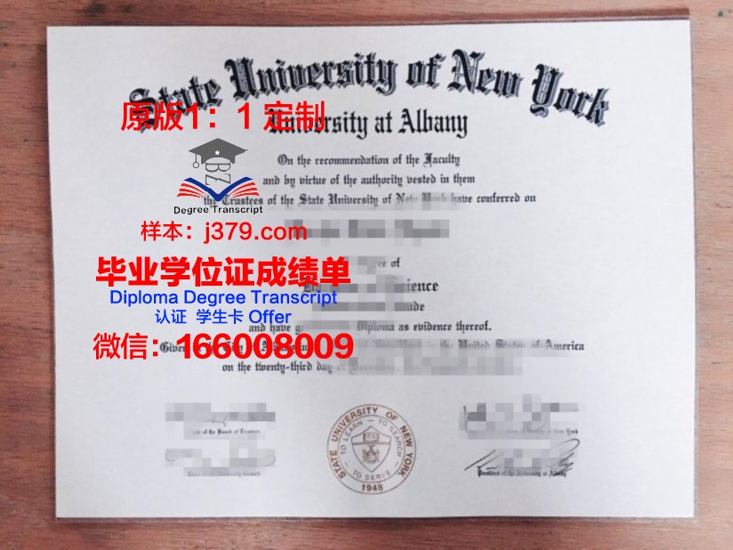 奥尔巴尼法学院毕业证尺寸(奥尔巴尼大学世界排名)