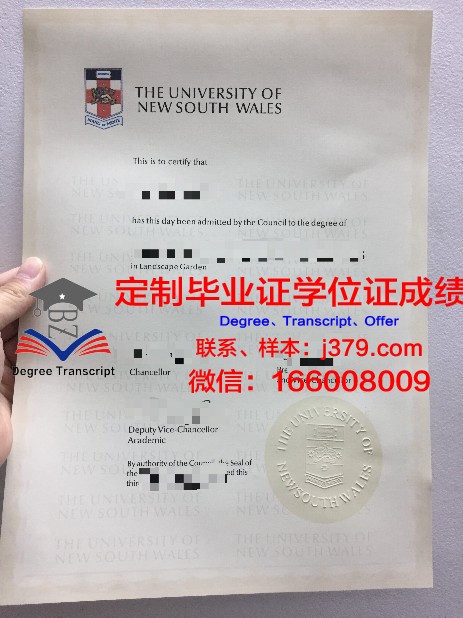 萨尔大学的毕业证：一份跨越国界的荣誉