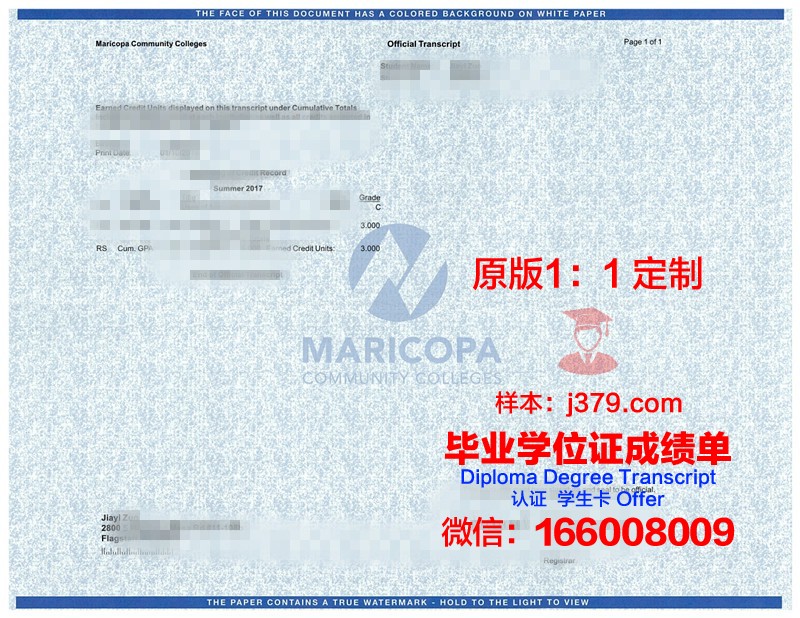 奥尔良大学综合理工学院硕士毕业证书样本(奥尔良高等艺术与设计学院)