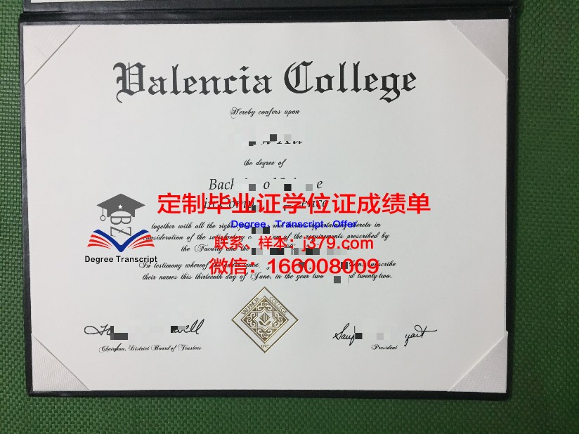 瓦伦西亚学院硕士毕业证：开启国际化职业发展的大门