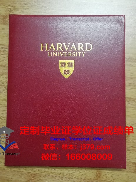 奥维多大学毕业证壳子(奥维耶多大学官网)