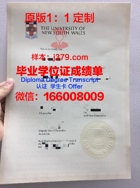 瓦朗西纳大学毕业证图片University of Valenciennes Diploma
