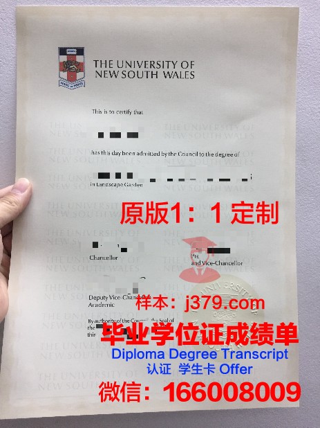 萨拉戈萨大学毕业证定制：追寻真实的学历证明之路