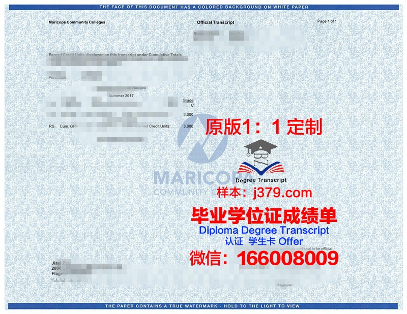 阿库雷联邦理工大学学位成绩单定制：专业、严谨、权威