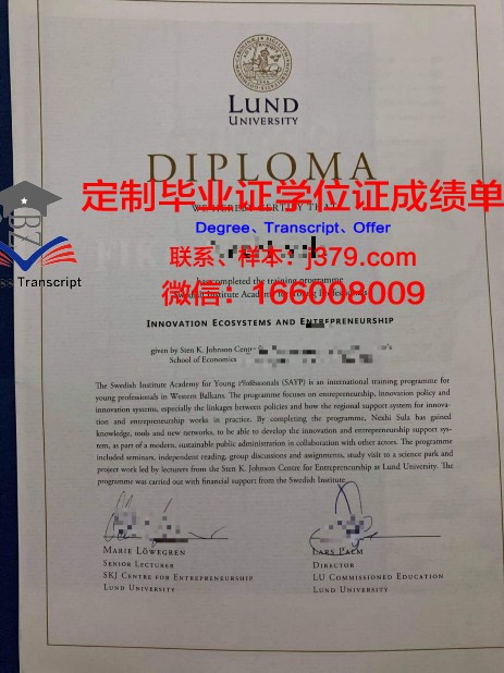 瑞典中部大学毕业证原件(瑞典留学毕业)