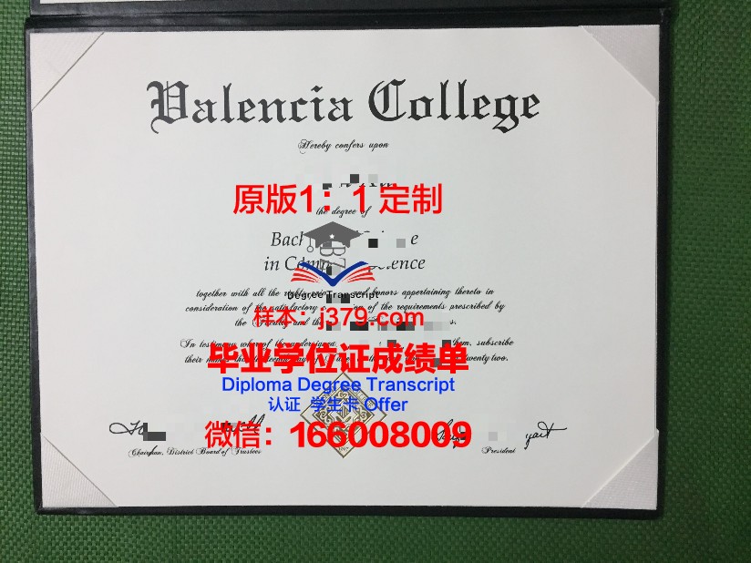 瓦伦西亚大学毕业证模板(瓦伦西亚留学)