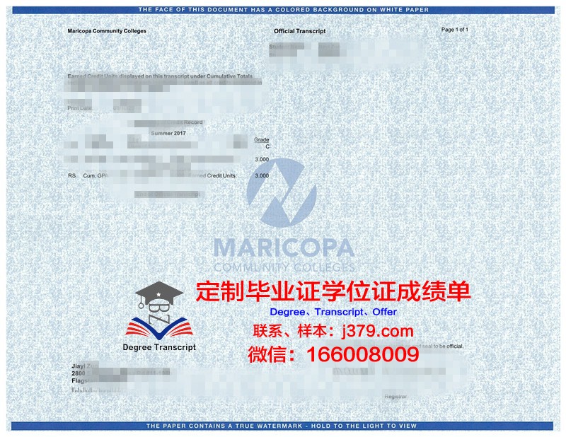 奥芬巴赫设计学院毕业证原版(奥芬巴赫设计学院学费)