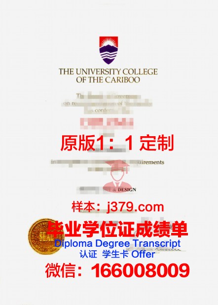 奥维多大学硕士毕业证书样本(奥维多上校镇)