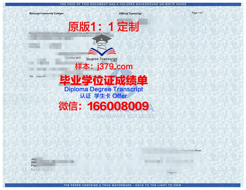 理工学位成绩单定制模板——打造个性化学术名片