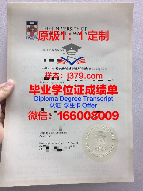 理工院毕业证成绩单怎么查？一篇详细的查询攻略