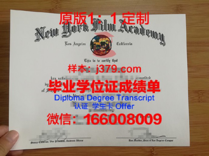 动画电影职业学院diploma证书(动画电影专业)