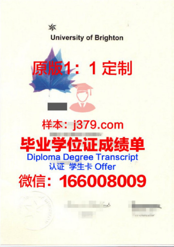 布莱顿大学毕业证认证成绩单Diploma